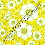 Colour:K