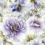 Colour:A