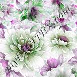 Colour:B