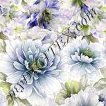 Colour:D