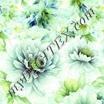 Colour:K