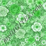 Colour:C