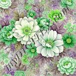 Colour:D