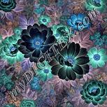 Colour:F