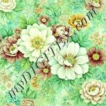 Colour:K