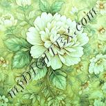 Colour:K