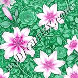 Colour:B