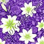 Colour:D