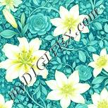 Colour:K