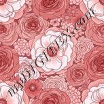 Colour:B