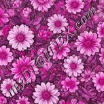 Colour:B