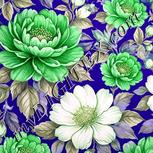 Colour:D