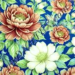 Colour:K