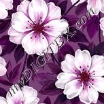 Colour:B