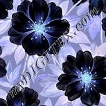 Colour:F
