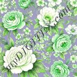 Colour:D