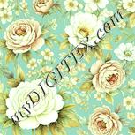 Colour:K
