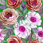 Colour:B