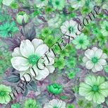 Colour:C
