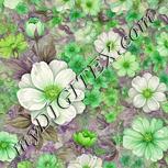 Colour:D