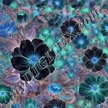Colour:F