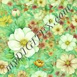 Colour:K