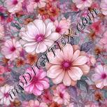 Colour:B