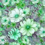 Colour:C