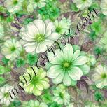 Colour:D