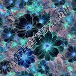 Colour:F