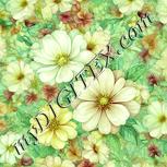 Colour:K