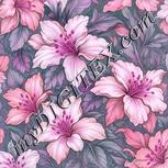 Colour:B