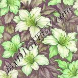 Colour:D