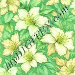 Colour:K