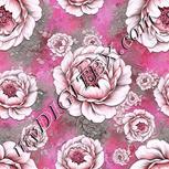 Colour:B