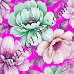 Colour:B