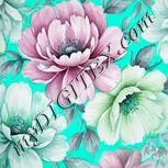 Colour:C