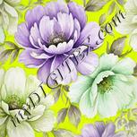 Colour:D