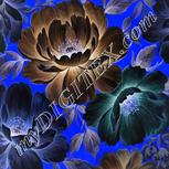 Colour:F
