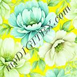 Colour:K