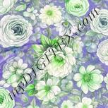 Colour:D