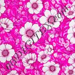 Colour:B