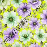 Colour:D