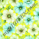 Colour:K