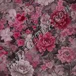 Colour:B