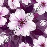 Colour:B