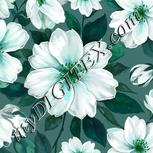 Colour:C