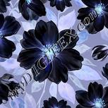 Colour:F