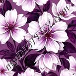 Colour:B