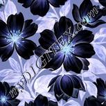 Colour:F
